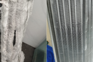 before-after-comparison (2)