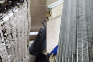 before-after-comparison (8)